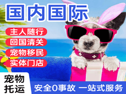 南通空运代理国际宠物托运 【国